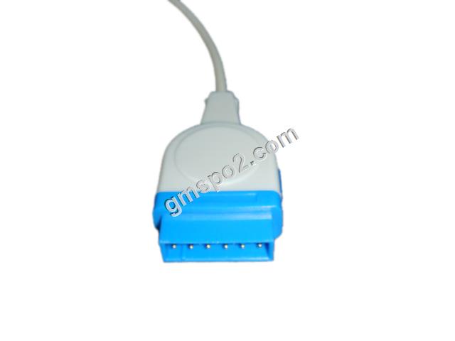 AF056 AF011 秋头 .jpg