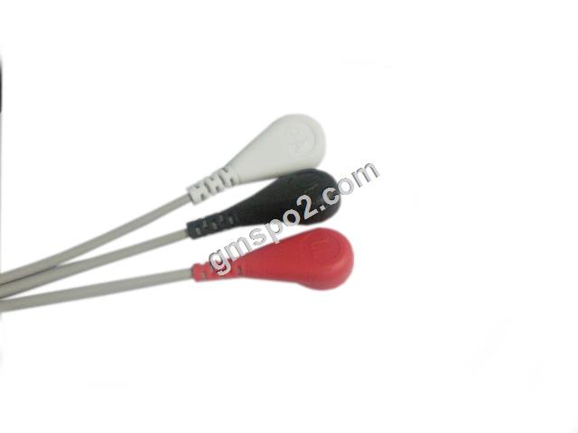 3-LEADER snap aha-.jpg