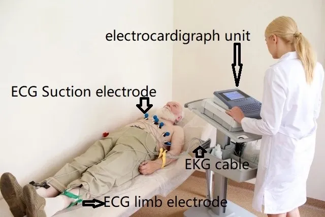 Reusable ECG Limb Electrode with Screw Clamp Reusable ECG Limb Electrode with Screw Clamp